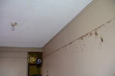 Zoe Strauss,&nbsp;Front Room Waterline at Jimmy Rossi&rsquo;s Home. Staten Island, NY.&nbsp;Dec 5, 2012, Archival Inkjet Print&nbsp;