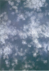 Rachel&nbsp;Lee&nbsp;Hovnanian, Memory of the Narcissus, #4, 2006