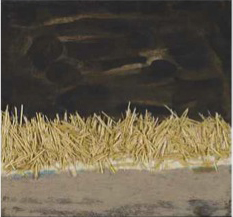 Midsummer Night Dream, Earthworks Series, 1999