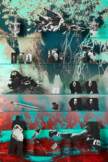 Special Problems, 2013, 78.5 x 50 inch C-print