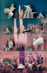 Nature, 2013, 61.5 x 40 inch C-print