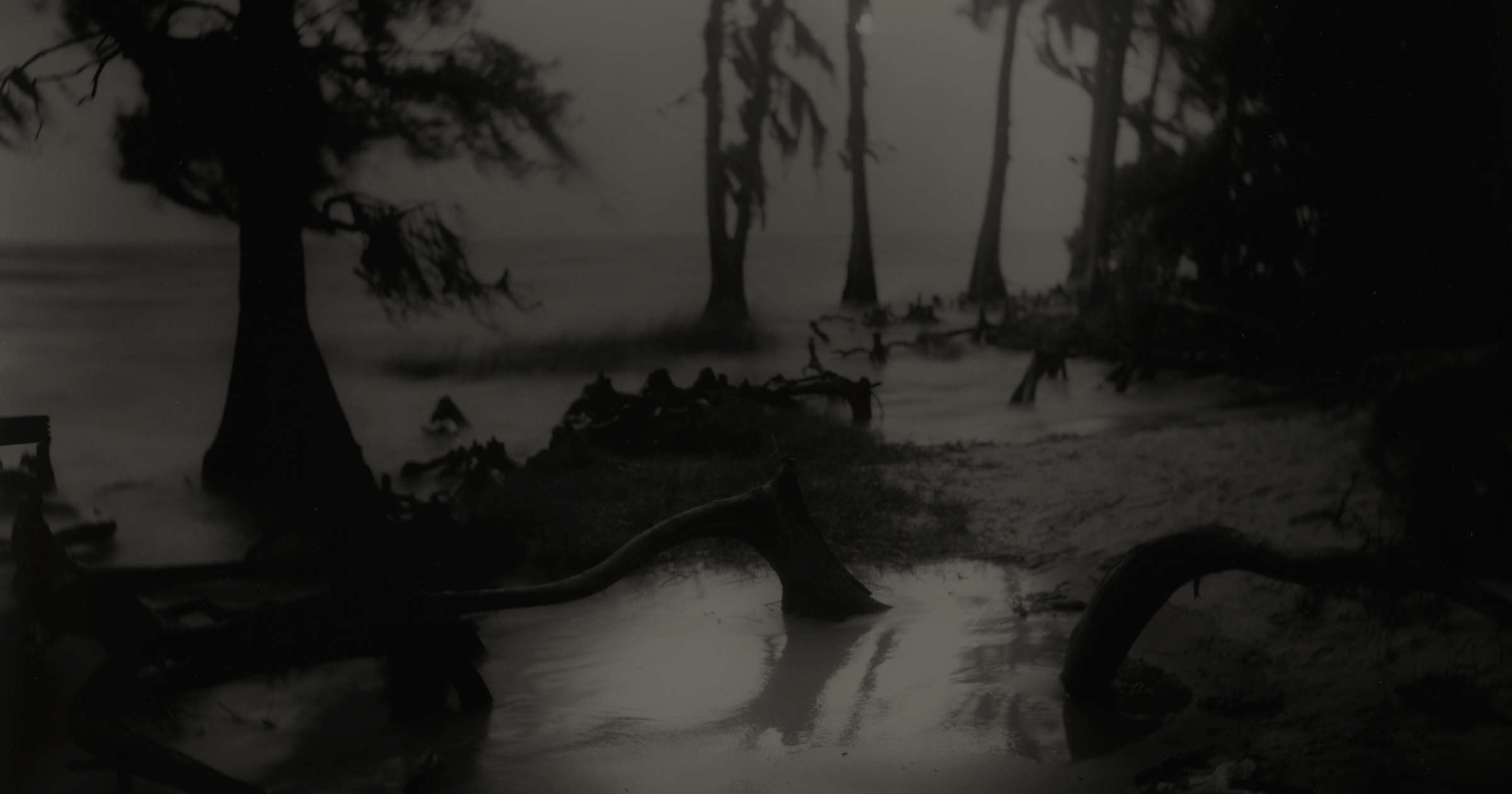 Sally Mann, Deep South, Untitled (Bones II), 1998 - Artwork 37263