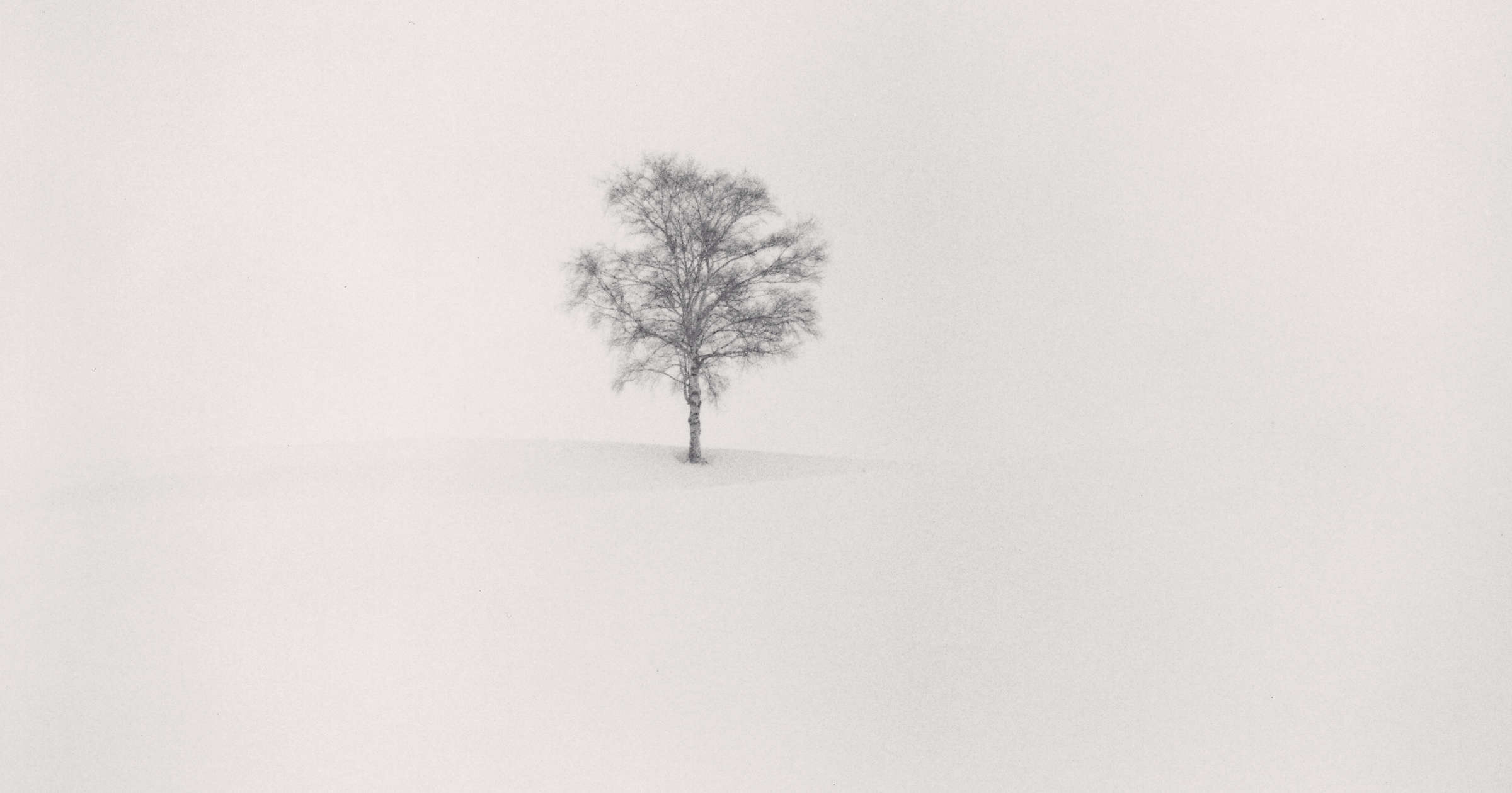 Michael Kenna, Field of Snow, Biei, Hokkaido, Japan, 2004