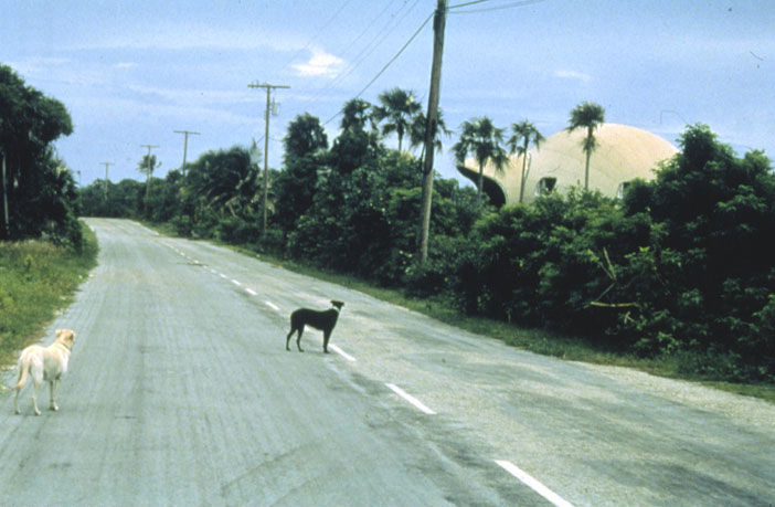 Tacita Dean, Bubble House (with dogs), 1999