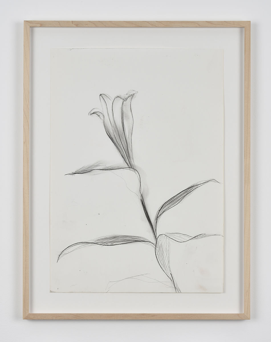 Sabine Moritz, Lily 59, 2019