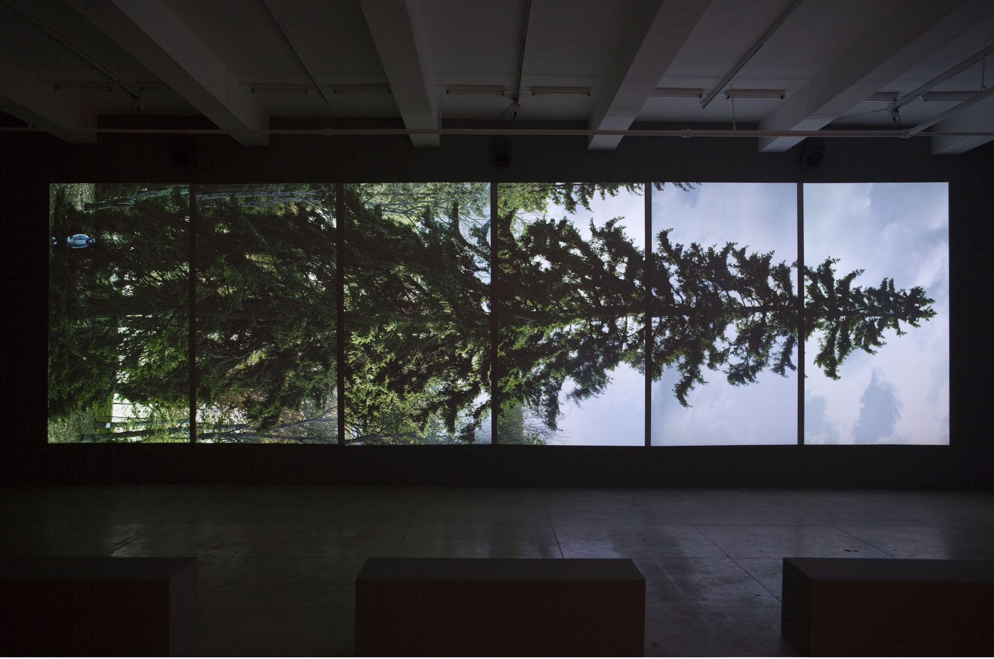 A dark room is illuminated by a projection of a horizontal tree. The projection is divided by vertical black bars. 