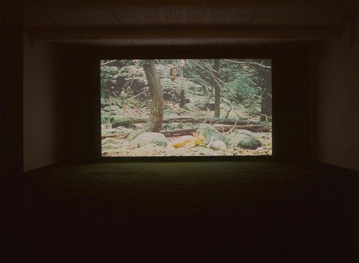 Pierre Huyghe Streamside Day