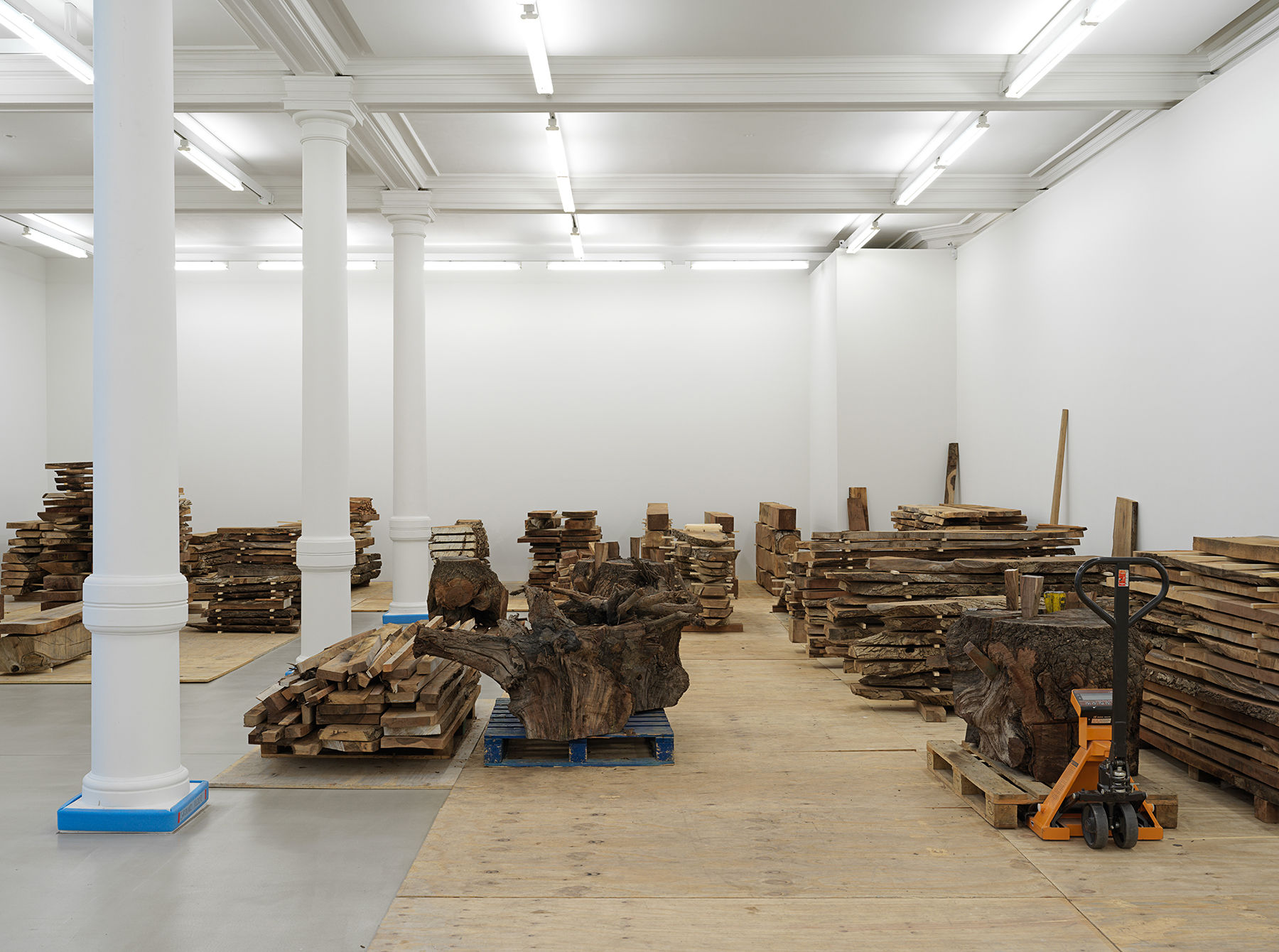 A gallery room filled with separate stacks of raw lumber.