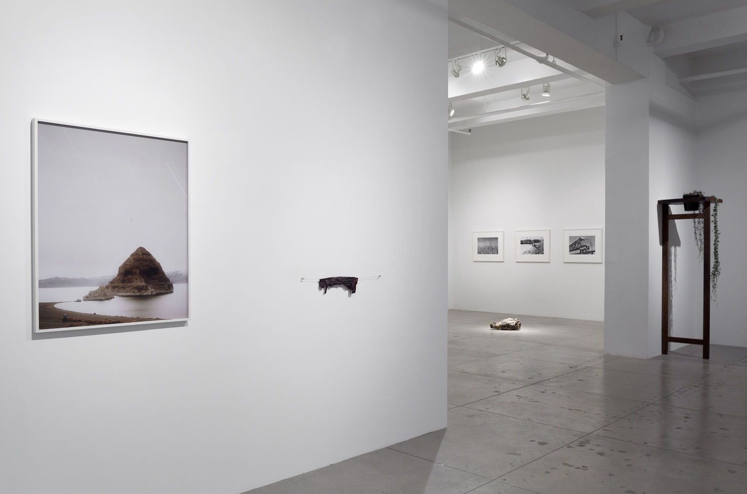 Sunset Décor - Curated by Magalí Arriola