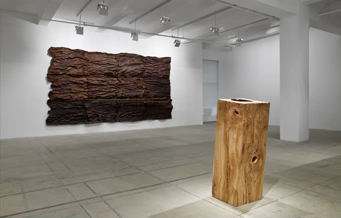 Installation of two wooden pieces. One rectangular wooden slab rests on the floor. It is juxtaposed to the squares of dark bark installed on the wall like a painting.