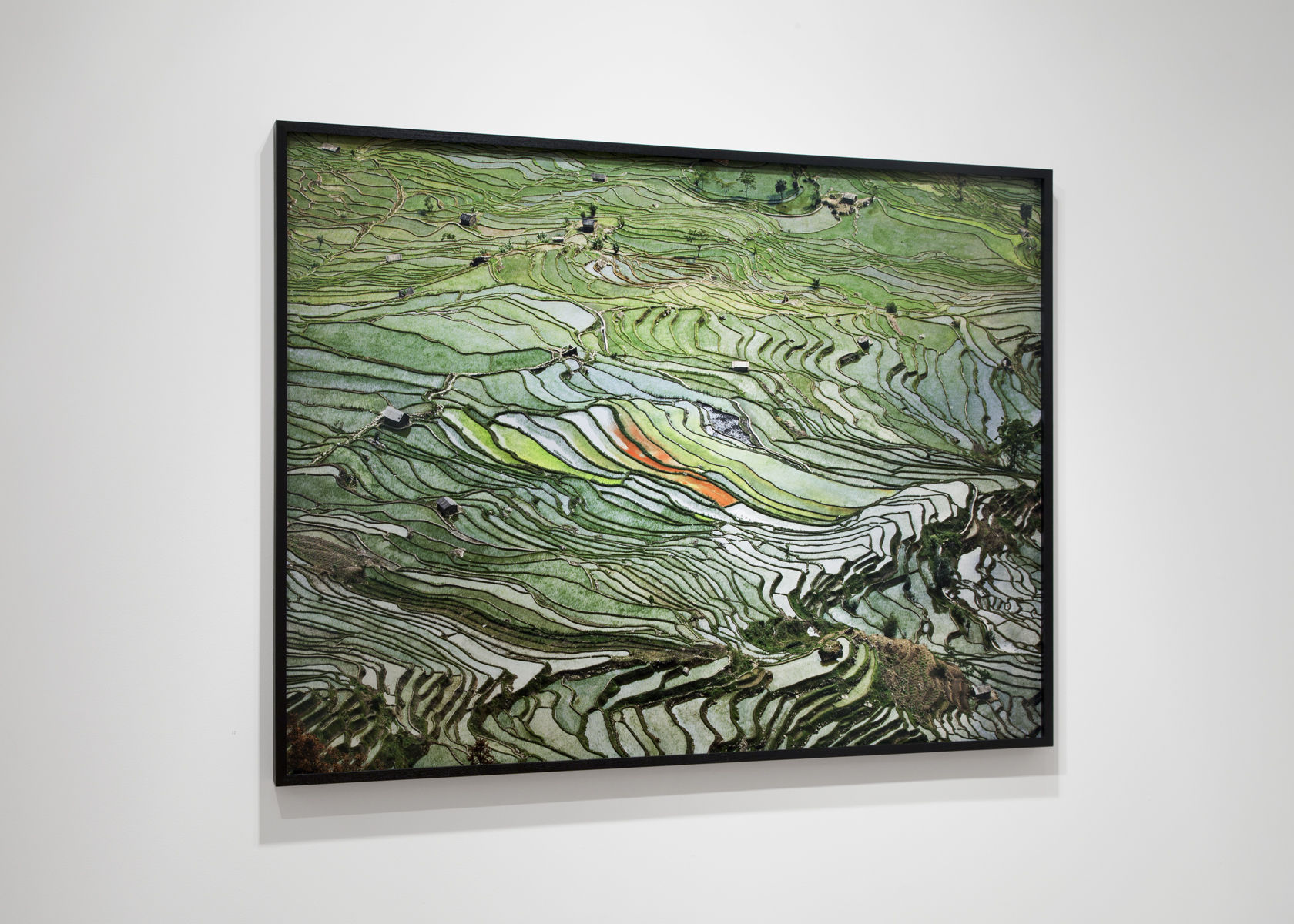 Edward Burtynsky Water