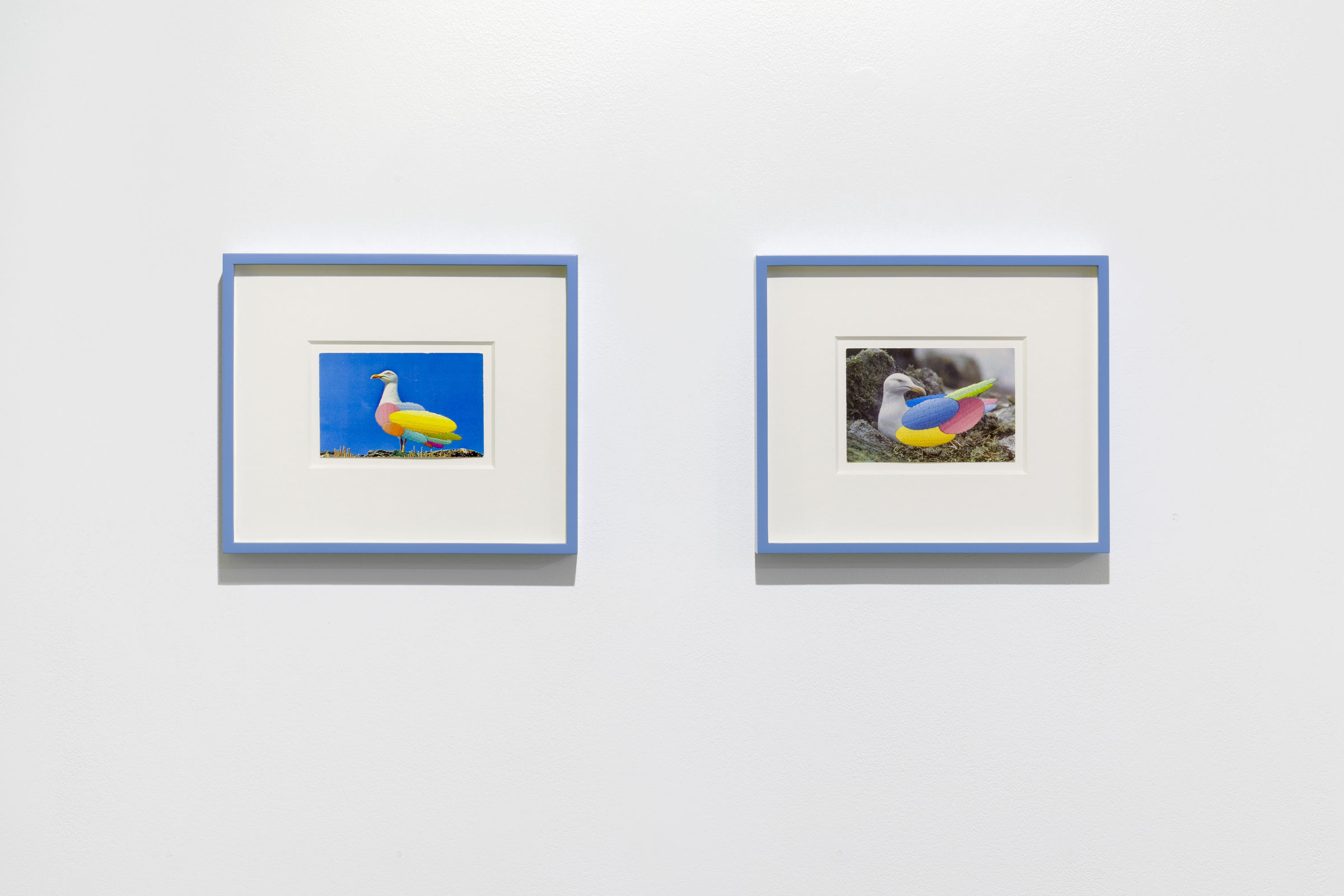 Julie Cockburn Telling it Slant