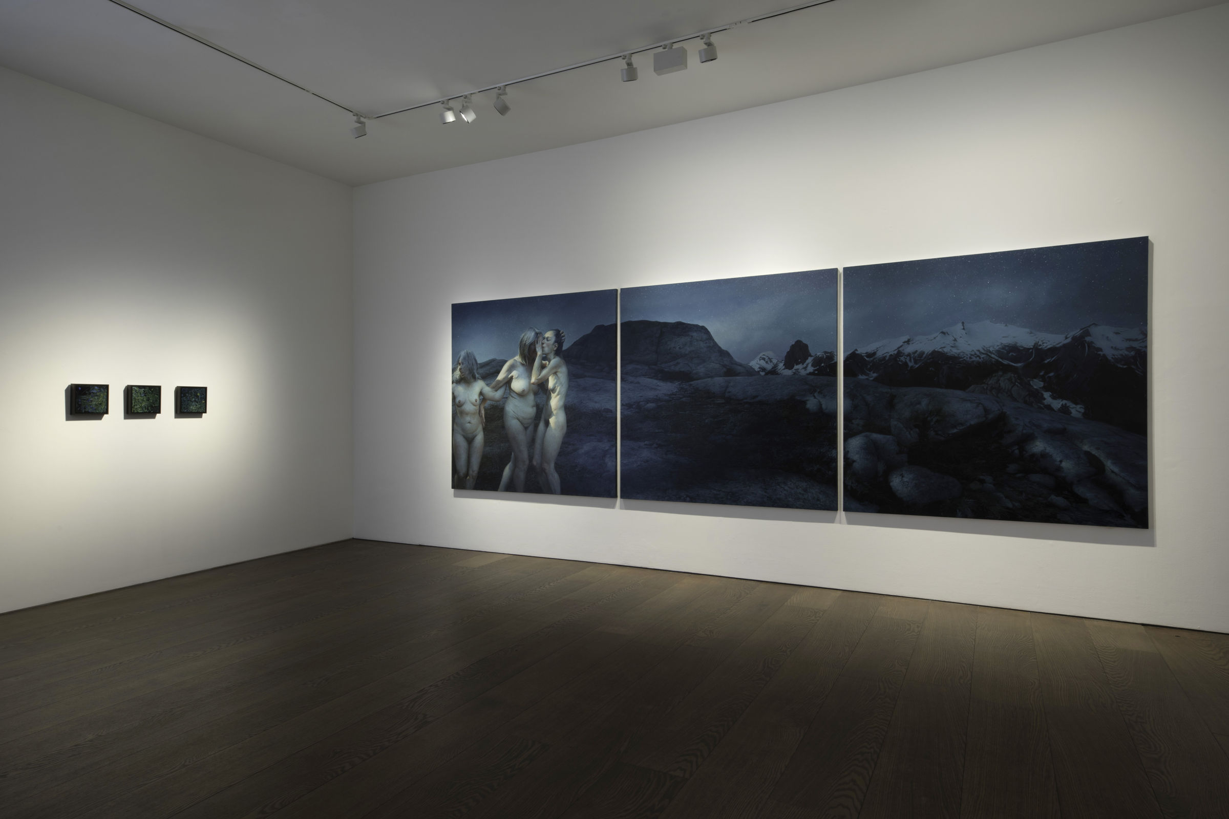 Aleah Chapin Within Wilds