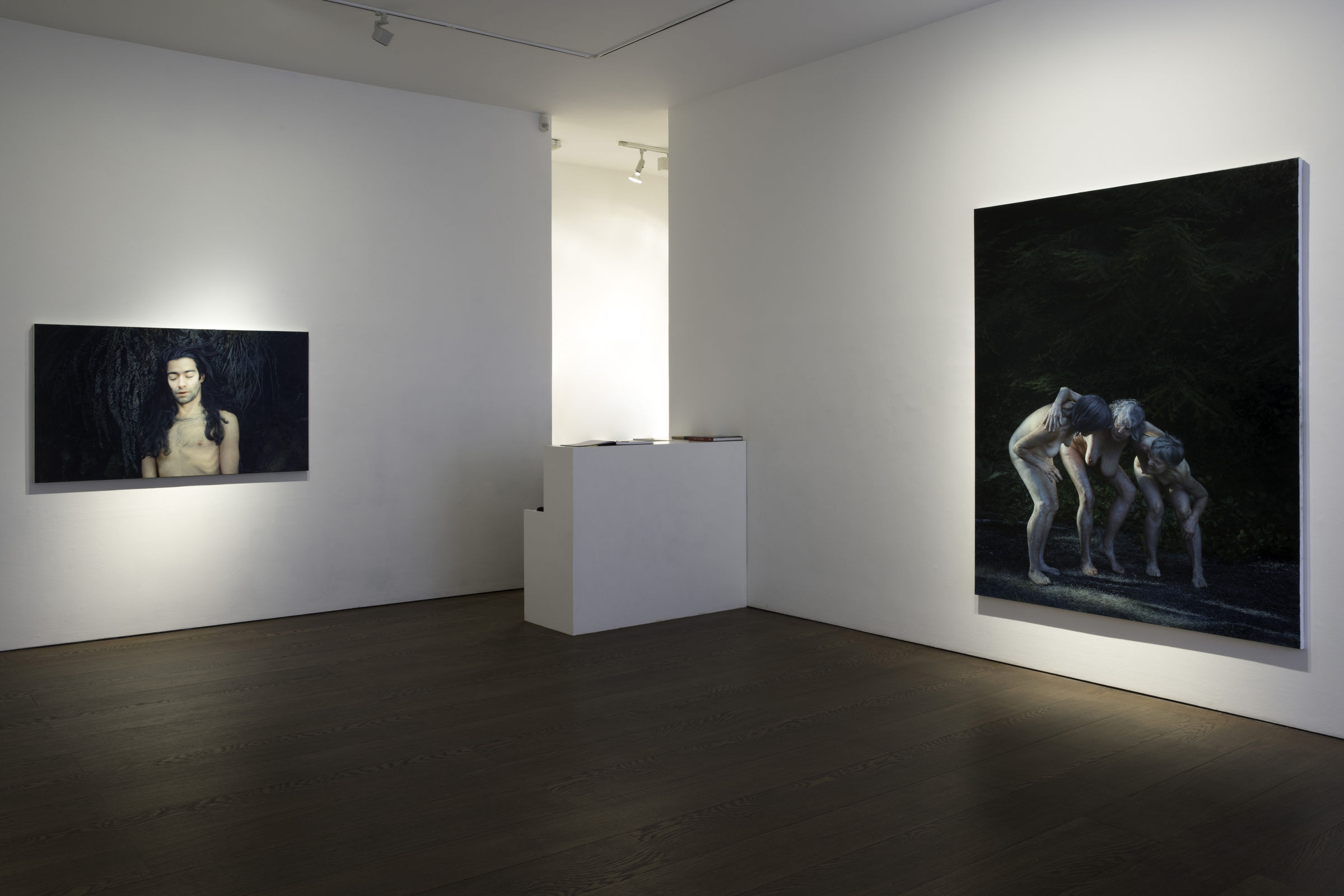 Aleah Chapin Within Wilds