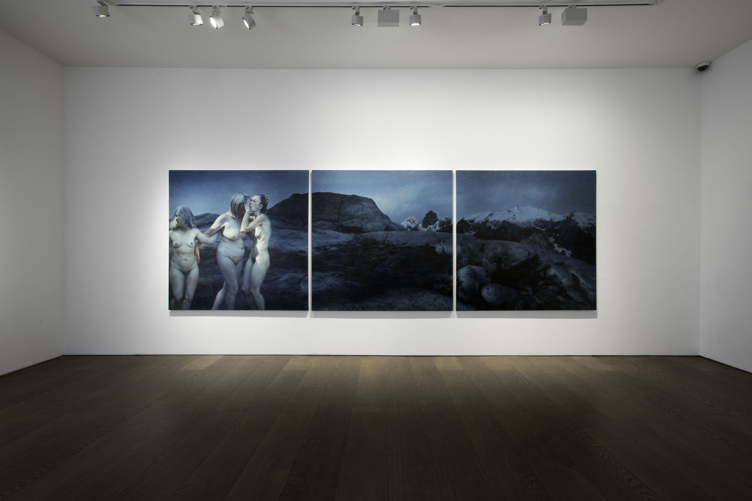 Aleah Chapin Within Wilds