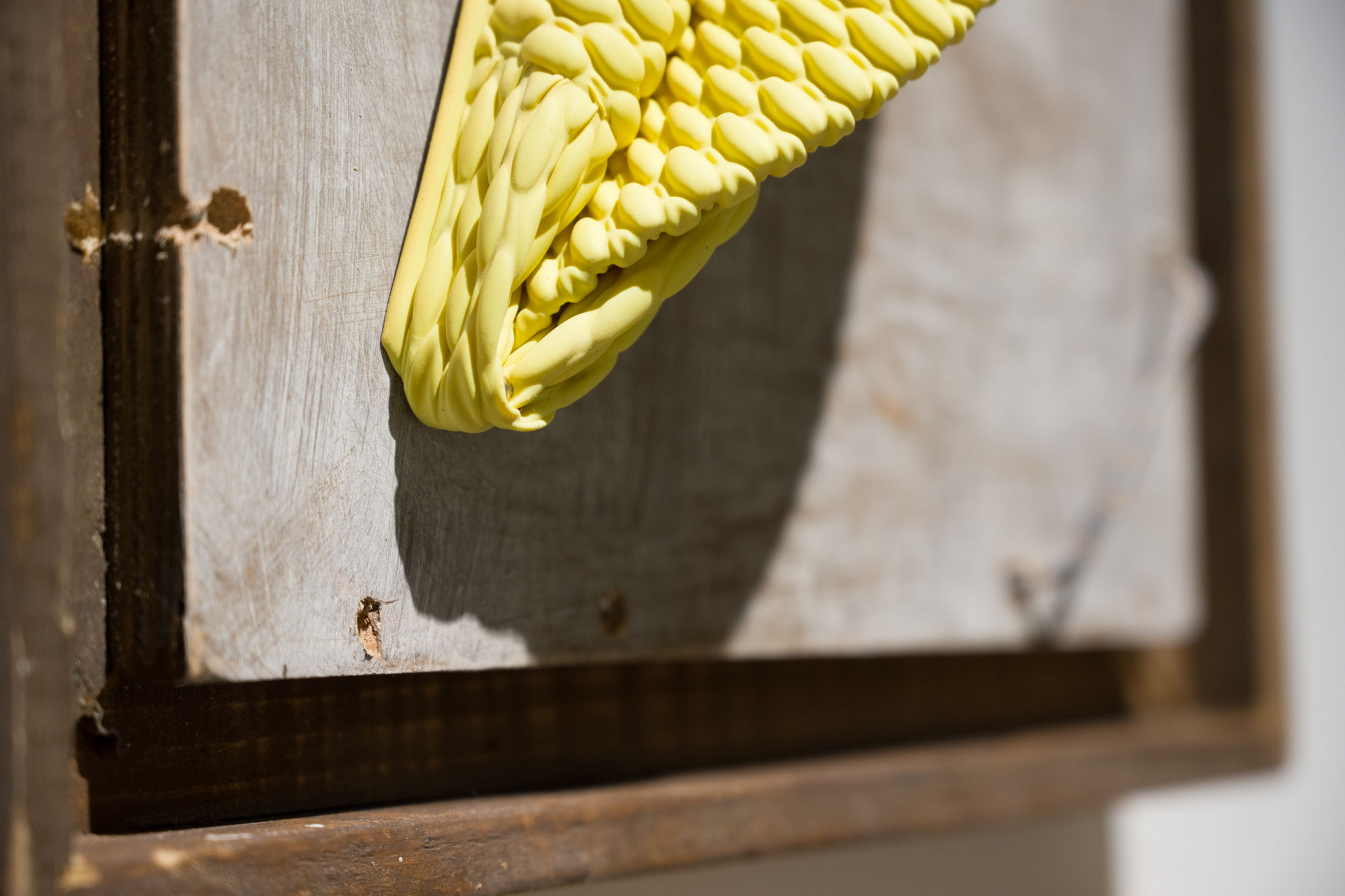 Lau Hiu Tung I am in training, don’t kiss me