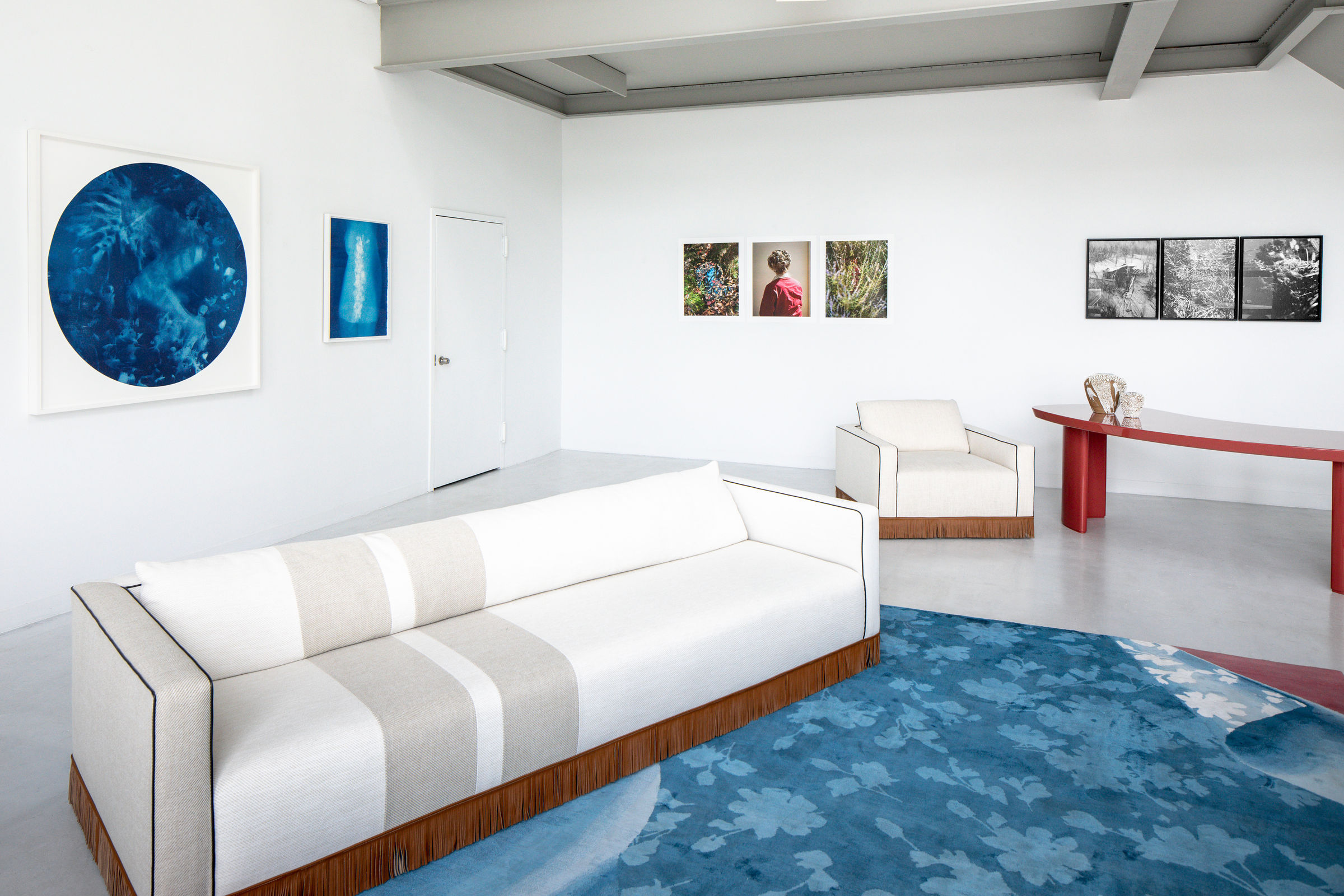 Janelle Lynch Endless Forms Most Beautiful