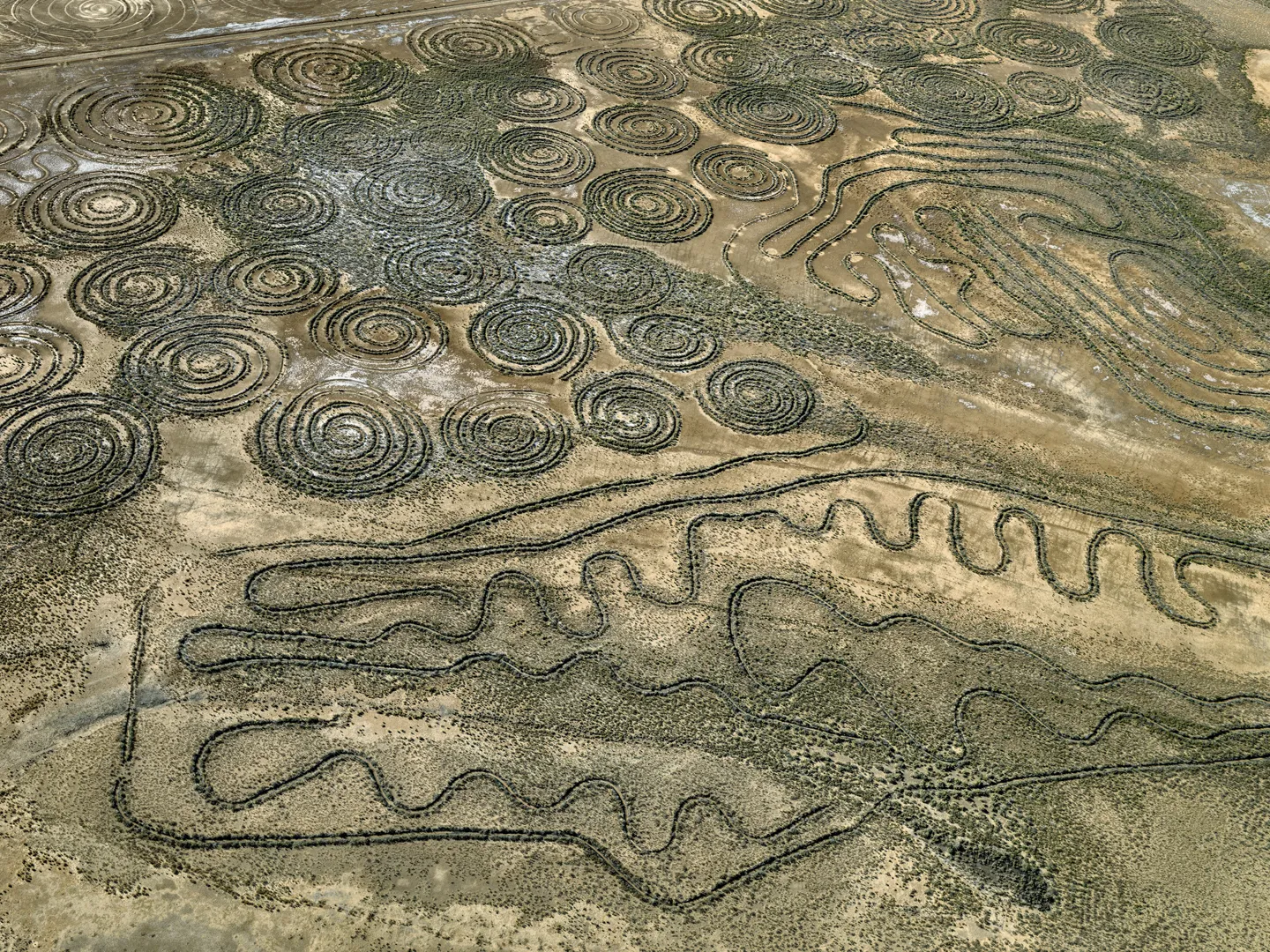 Paris Photo Booth D23