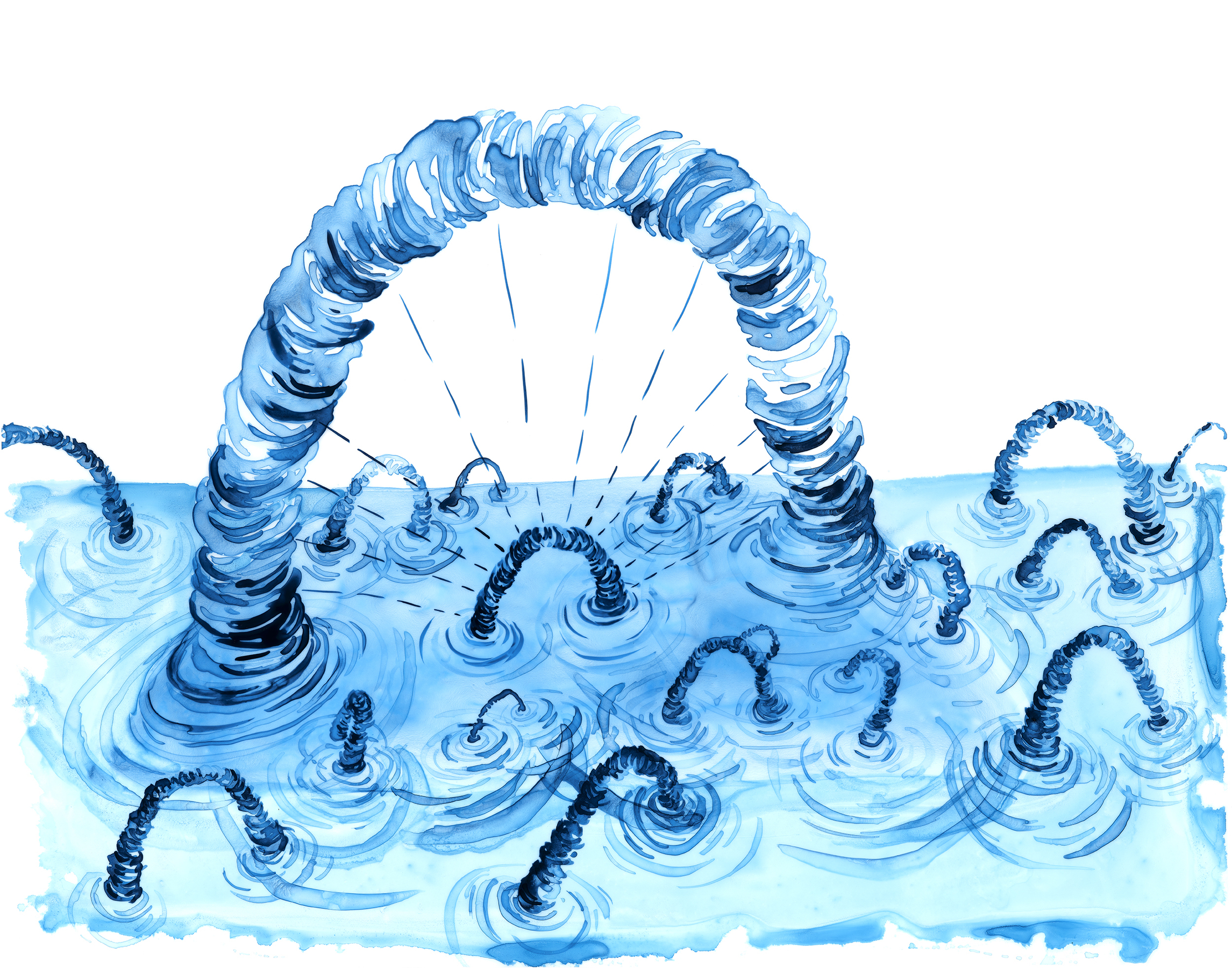 Lia Halloran WS318, 2021