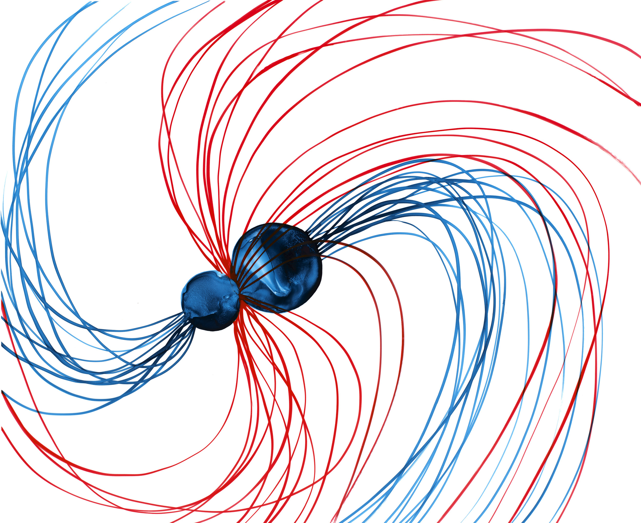 Lia Halloran WS473, 2023