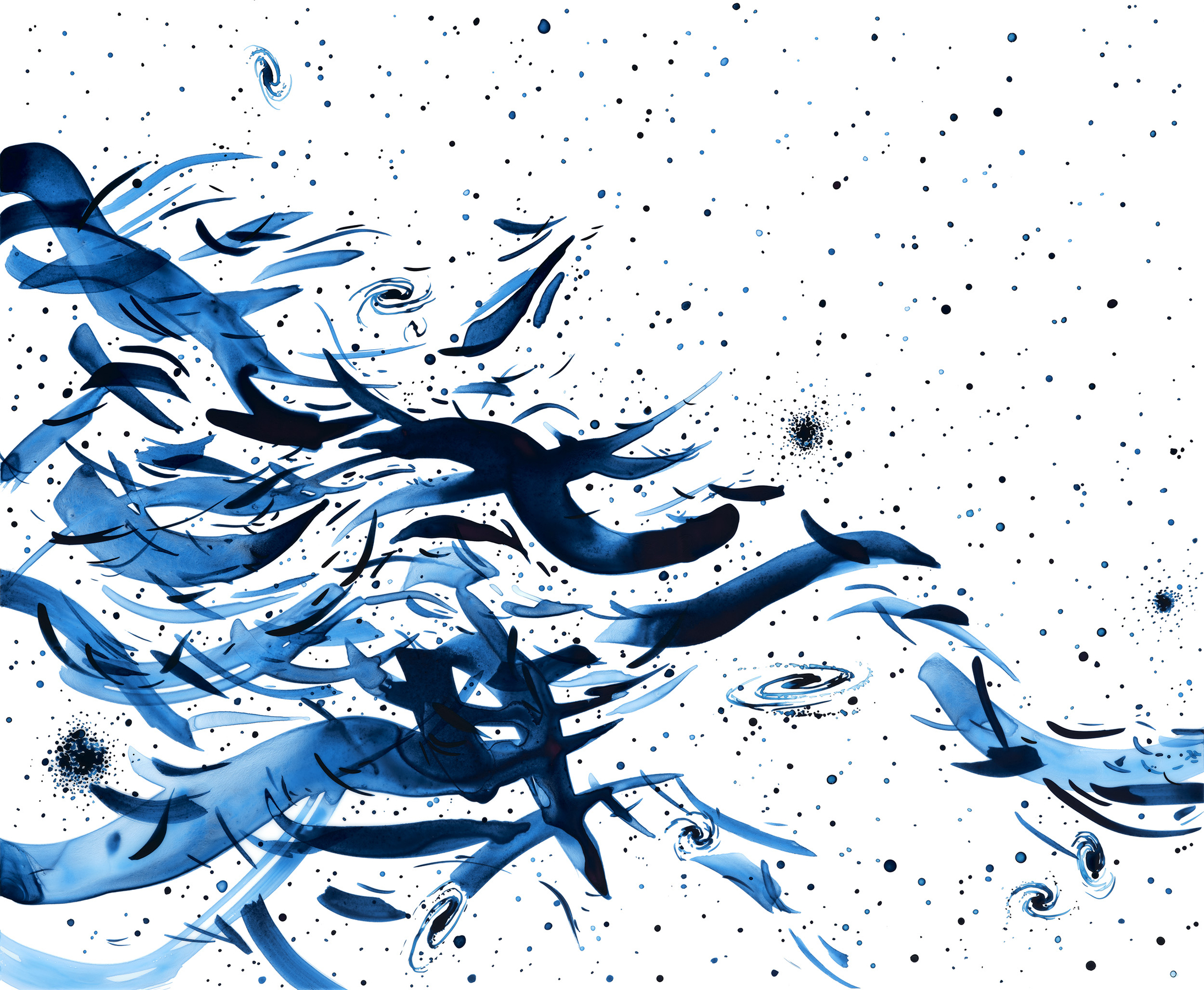 Lia Halloran WS385, 2022