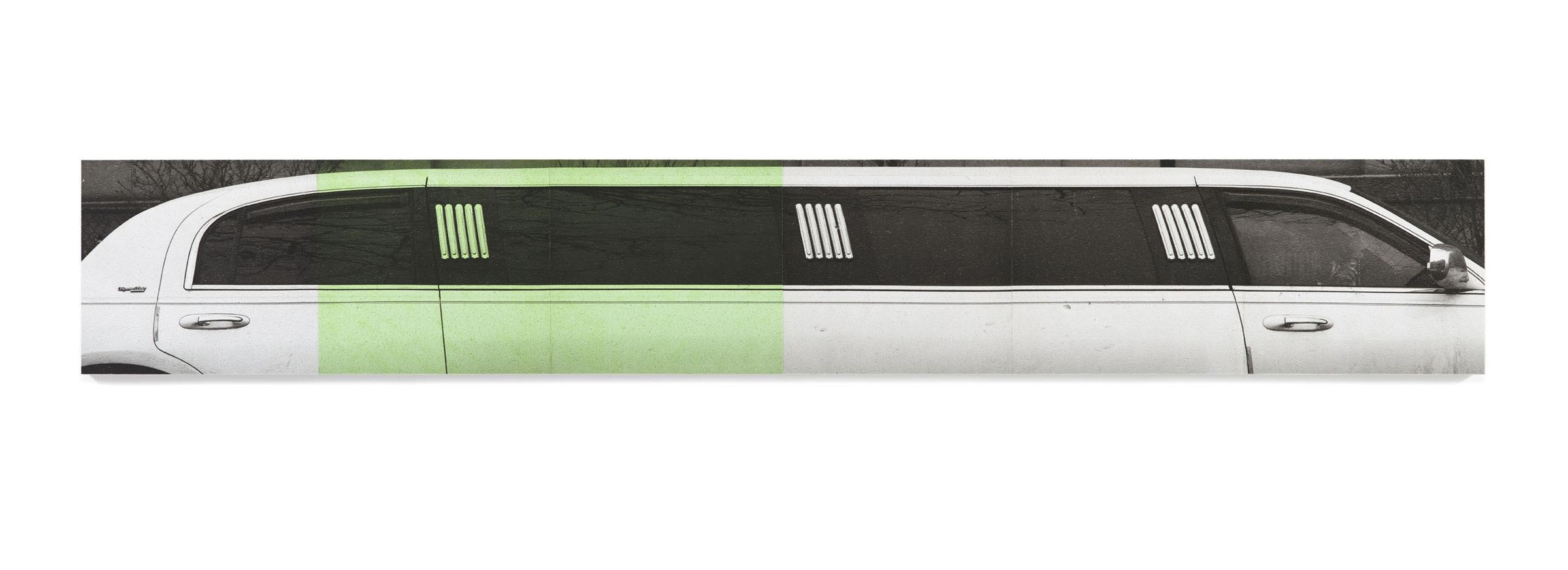 Adam McEwen George, 2014 Inkjet print on cellulose sponge 530.9 x 81.3 cm 209 x 32 inches