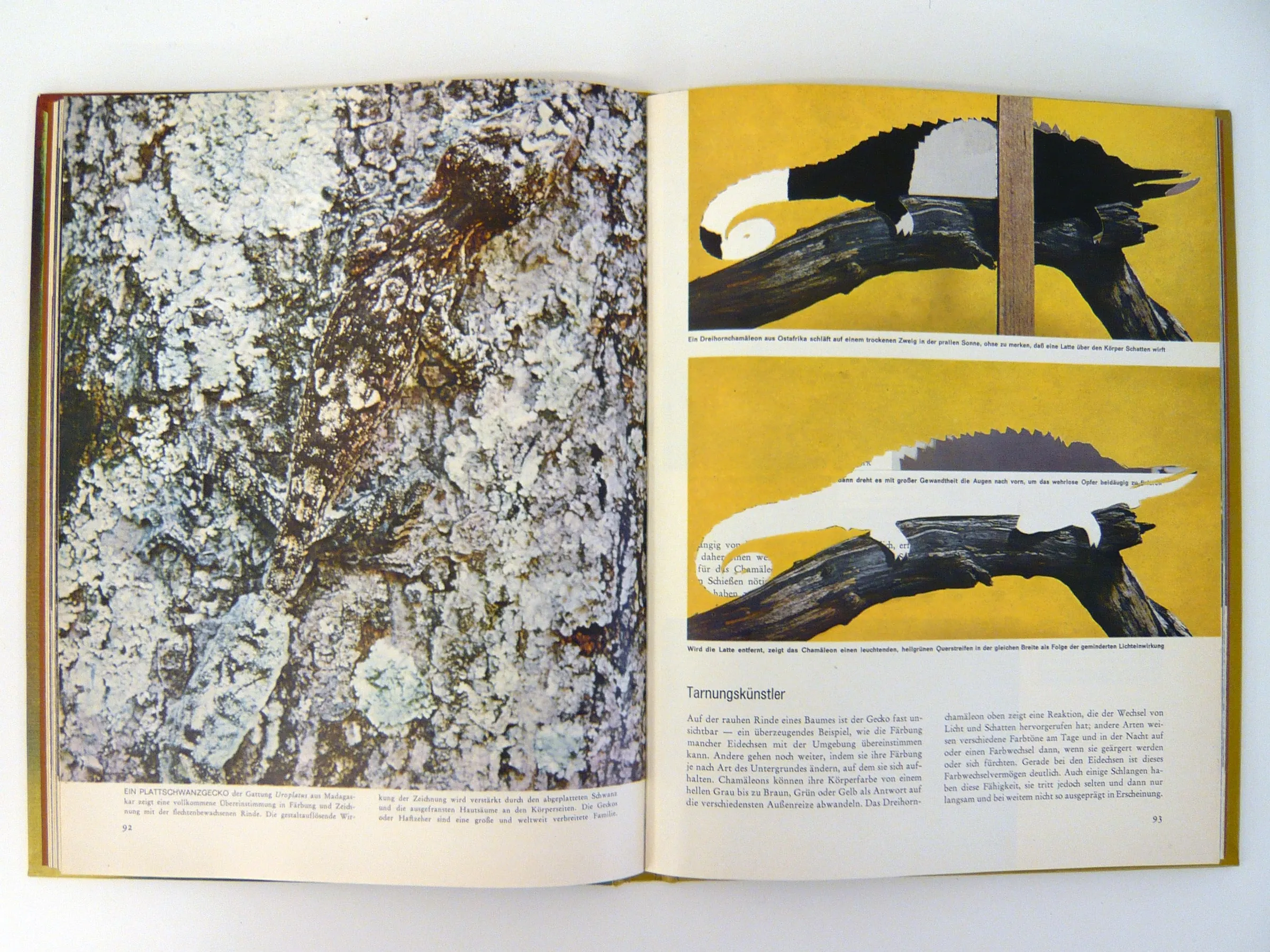 Michalis Pichler Chamaeleon # 93 Collaged book Open: 10.6 x 17.3 inches 27 x 44 cm