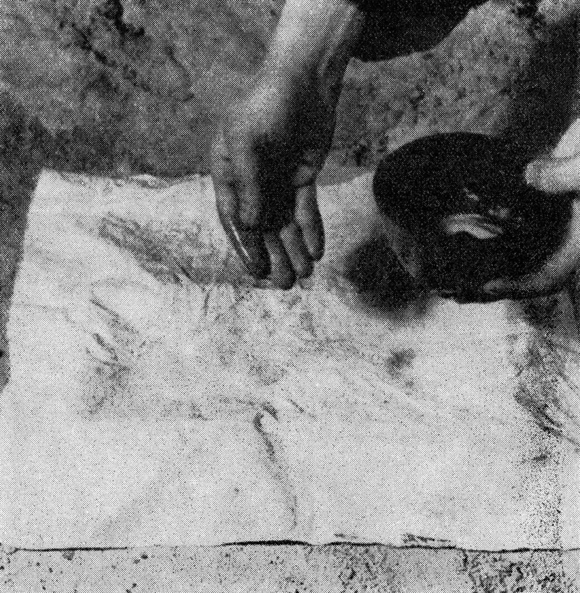 Peter Piller HOE 22, 2019 Pigment print 45 x 44 cm 17.7 x 17.3 inches Edition of 3 plus 1 AP