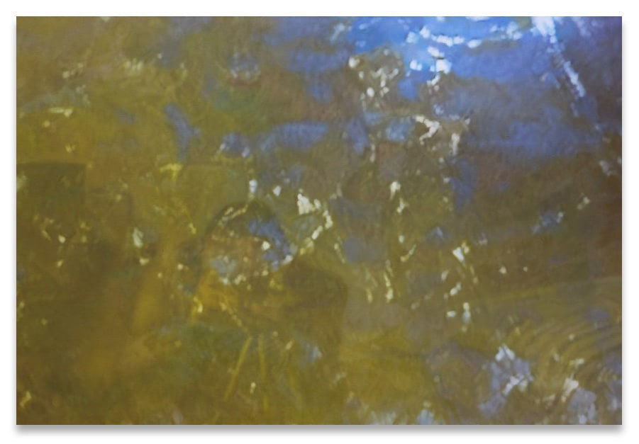 Xie Nanxing, Untitled (No.1), 2014