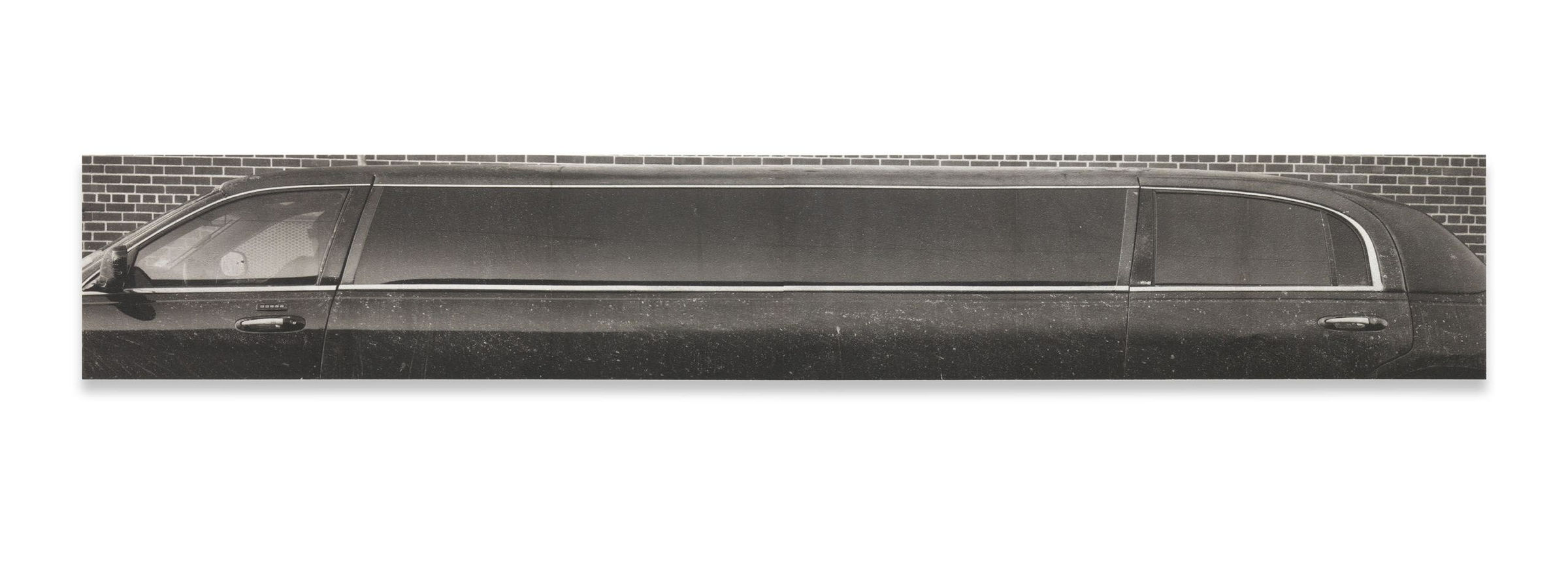 Adam McEwen Big Mike, 2014 Inkjet print on cellulose sponge 522 x 83.8 cm 205.5 x 33 inches