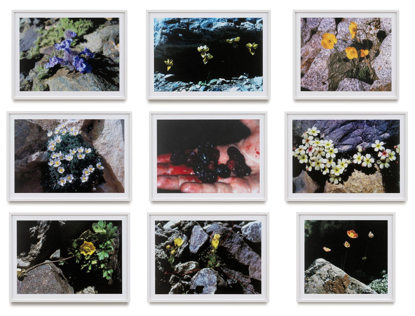 Peter Piller, Afghanistan Field Research, 2013-2014/2021