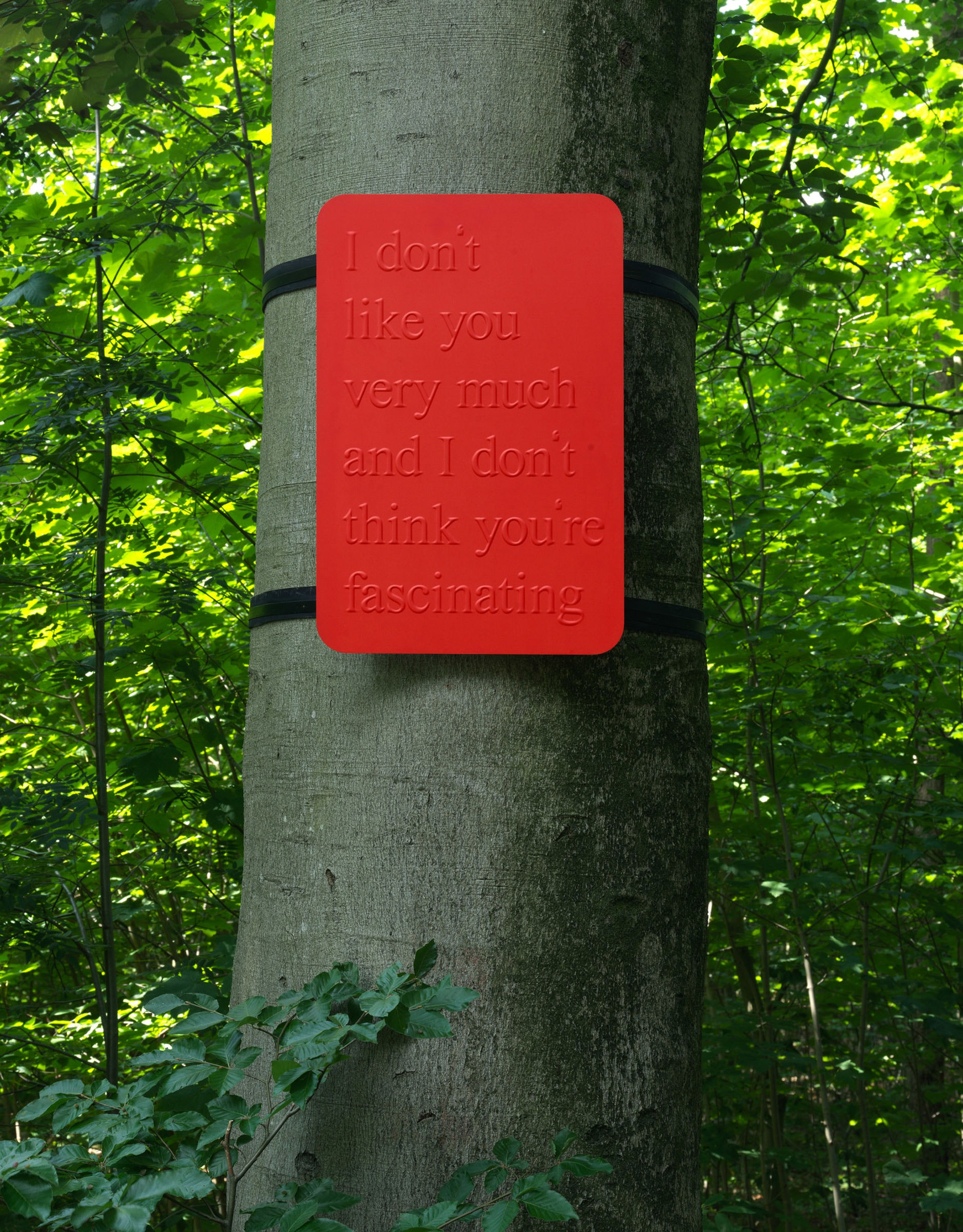 Monica Bonvicini, Tree of Anger, 2021