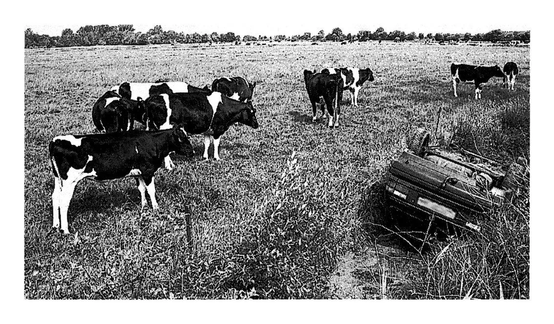 Peter Piller Mensch und Tier / Man and Beast, 2000-2006 Pigment print 36 x 61 cm 14.17 x 24.02 inches Edition of 6 plus 2 AP