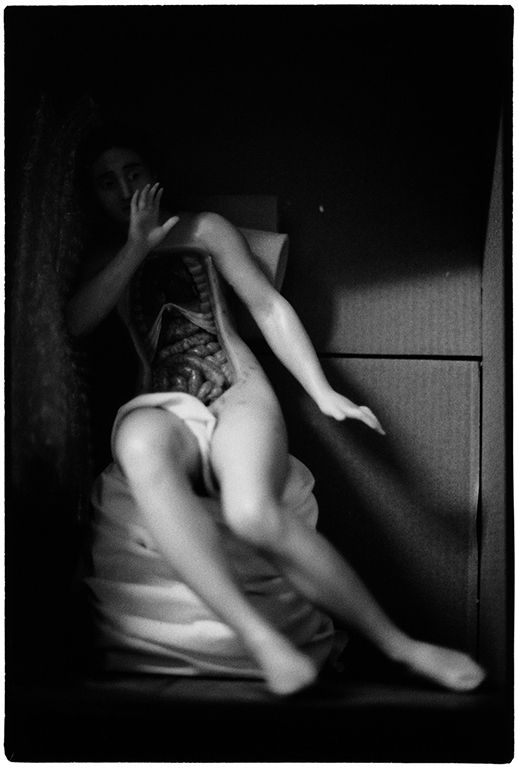 Zoe Leonard, Seated Anatomical Model in Box, 1991/1992