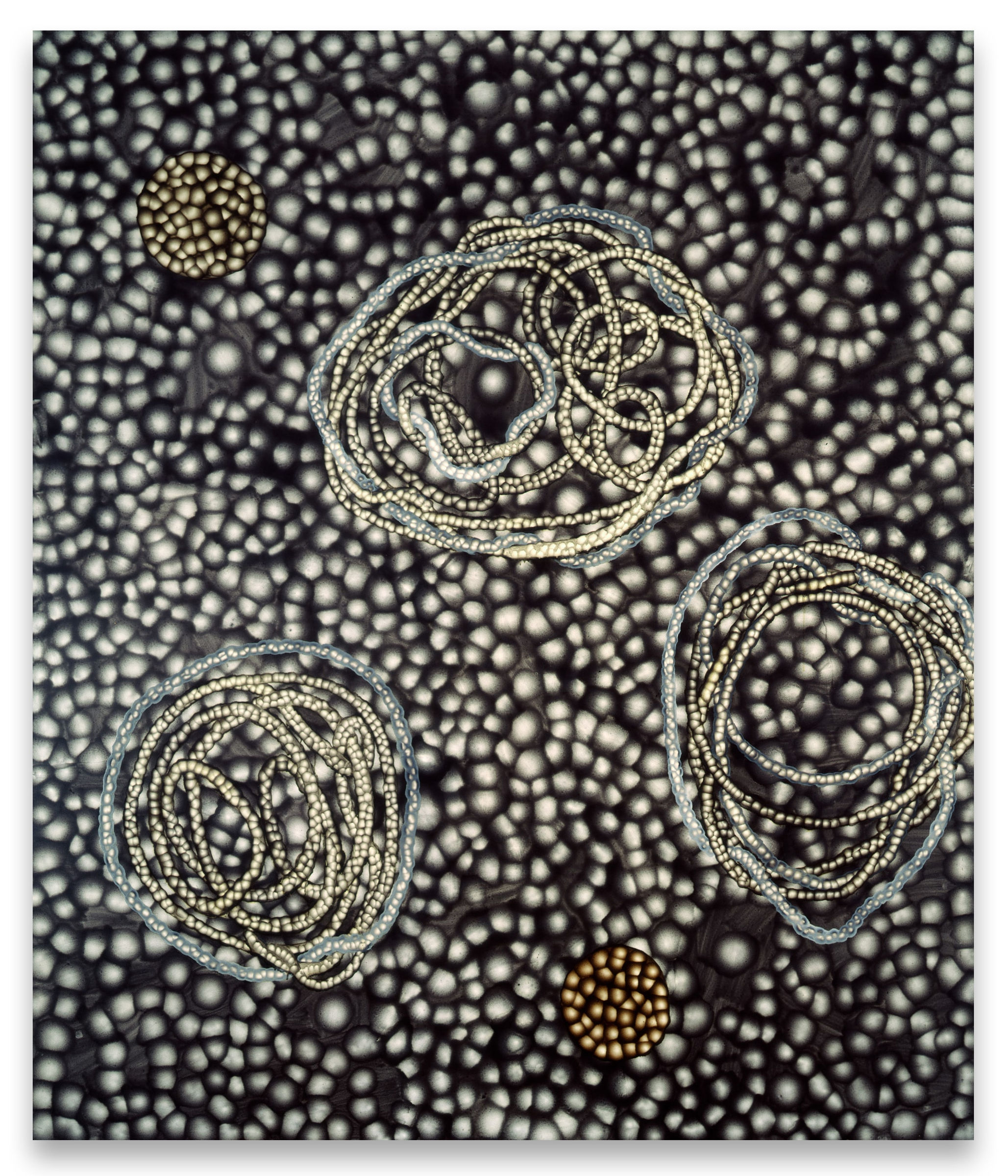 Ross Bleckner, Enhancers, 2000