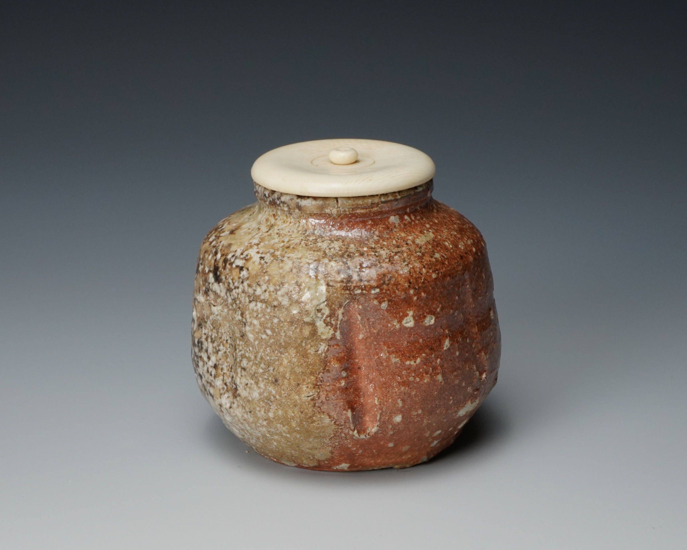 Takahashi Rakusai IV 四代高橋楽斎, Shigaraki Tea Caddy 信楽茶入