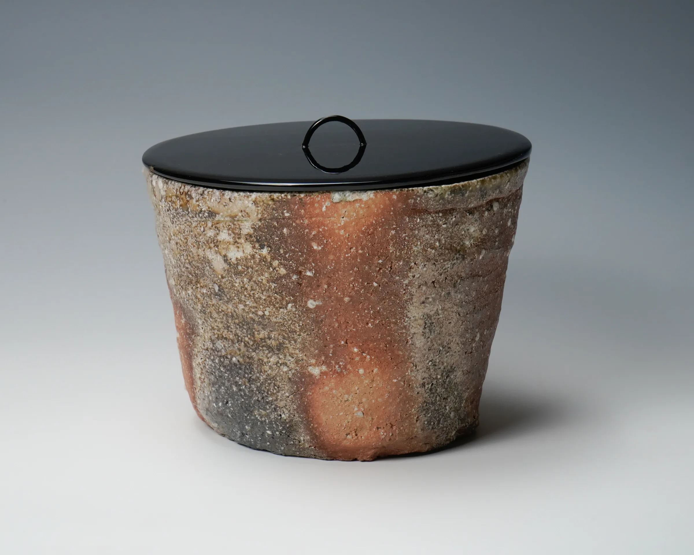 SAWA Kiyotsugu 澤 清嗣, Shigaraki water jar 信楽おにおけ水指 | Dai