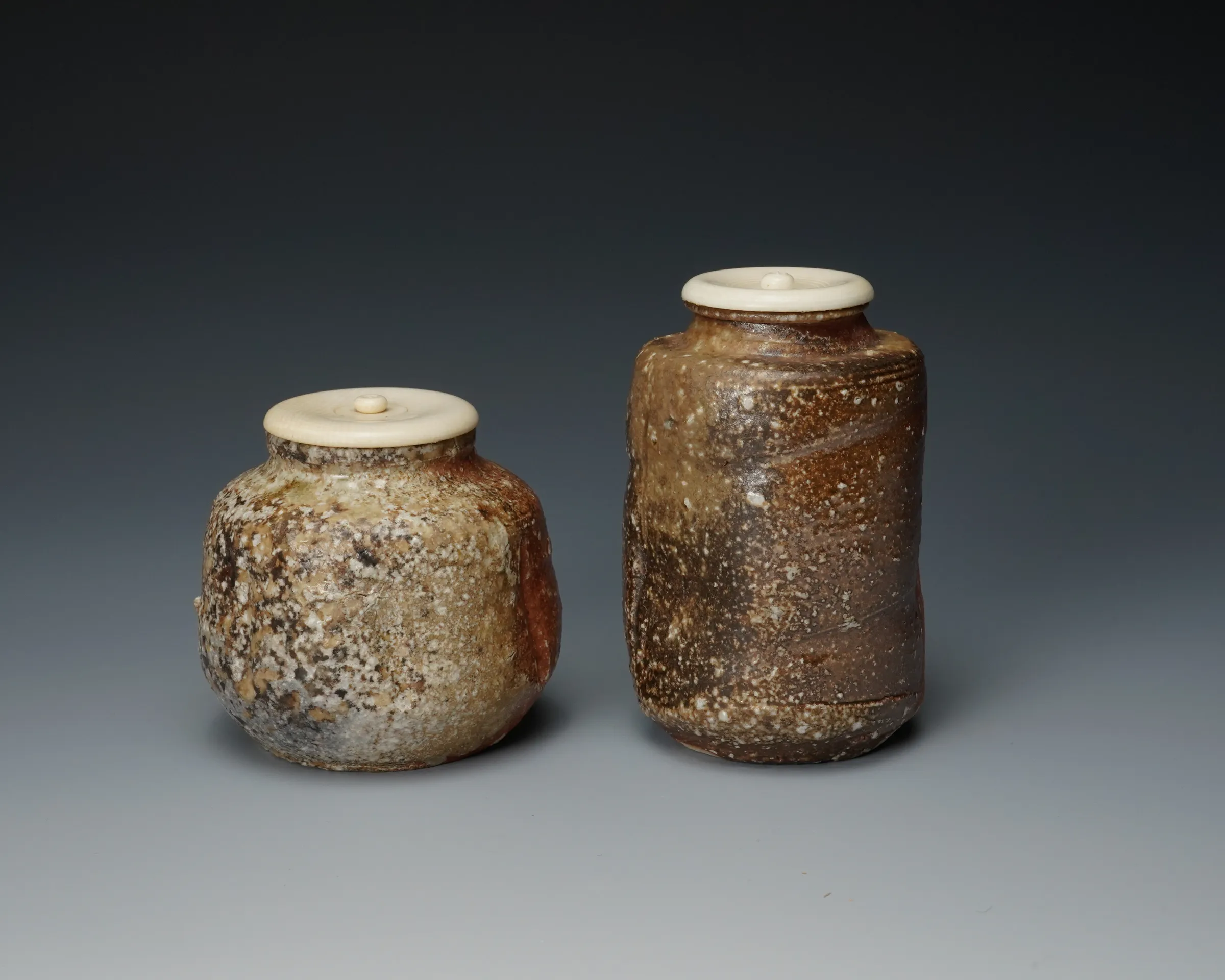 Takahashi Rakusai IV 四代高橋楽斎, Shigaraki Tea Caddy 信楽茶入