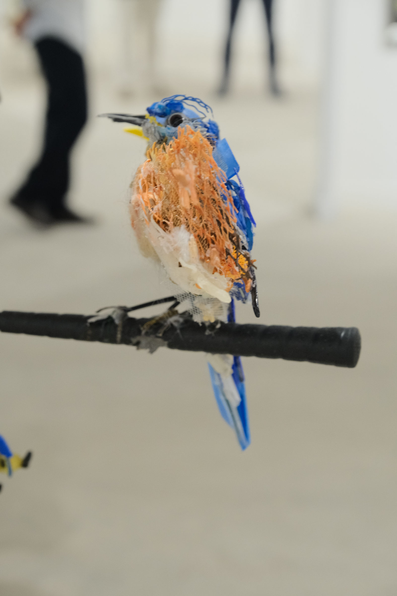 Thomas Deininger, Red Bird, Blue Bird, We're All Screwed Bird