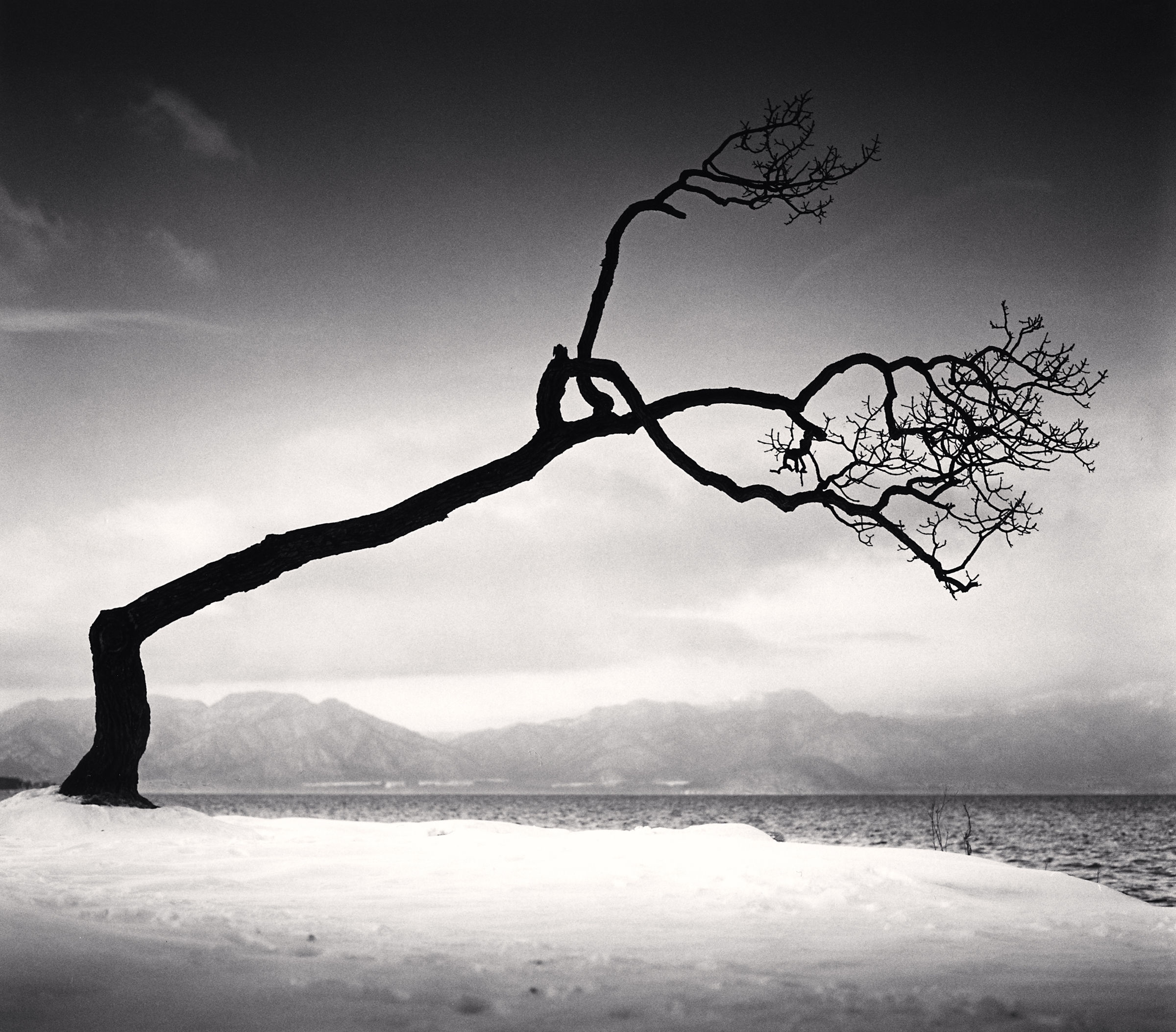 irastehmann-michael-kenna-