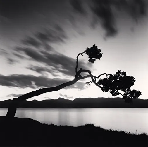 Michael Kenna, Kussharo Lake Tree, Study 8, Kotan, Hokkaido, 2008