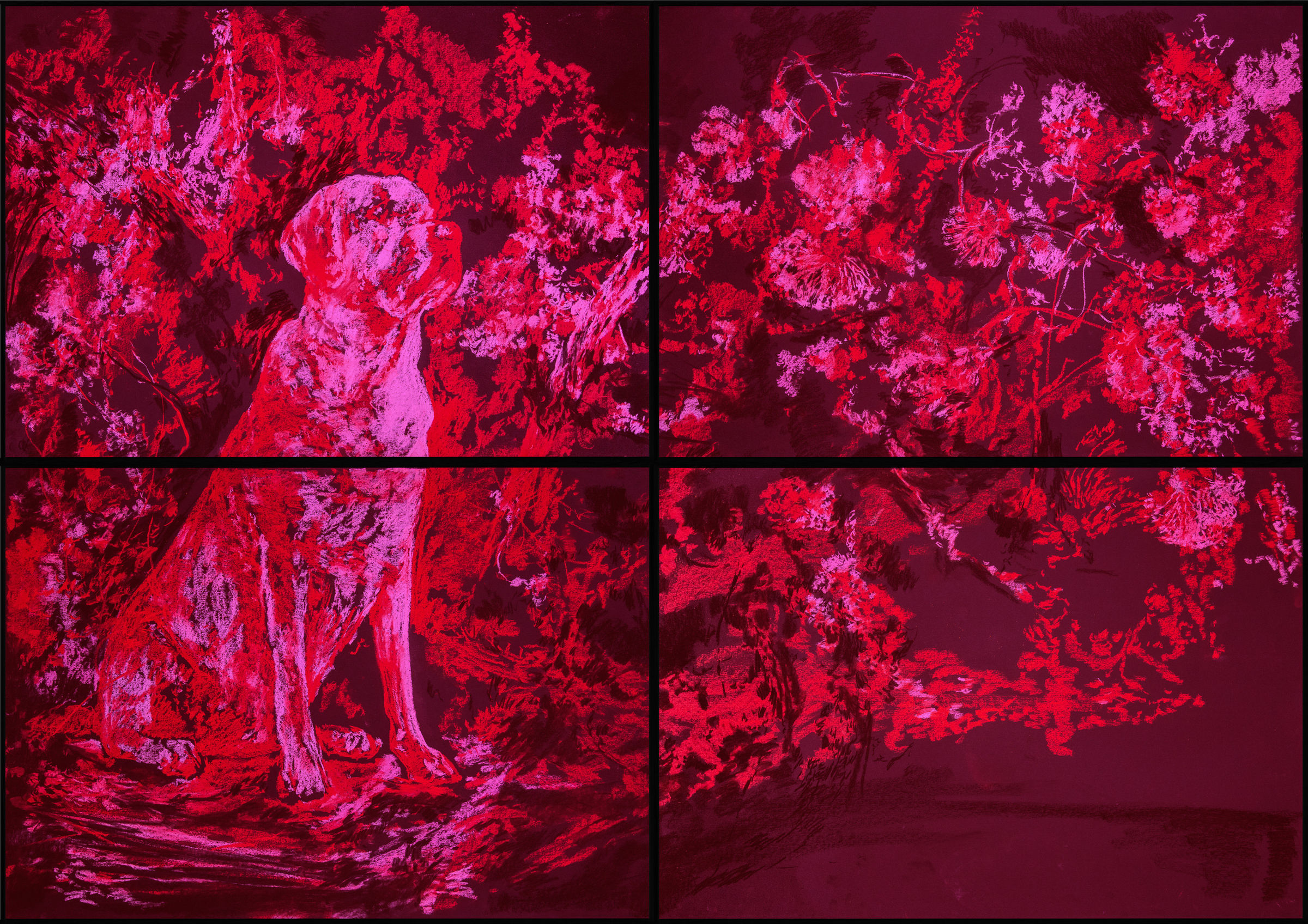 Ant&oacute;nio Faria