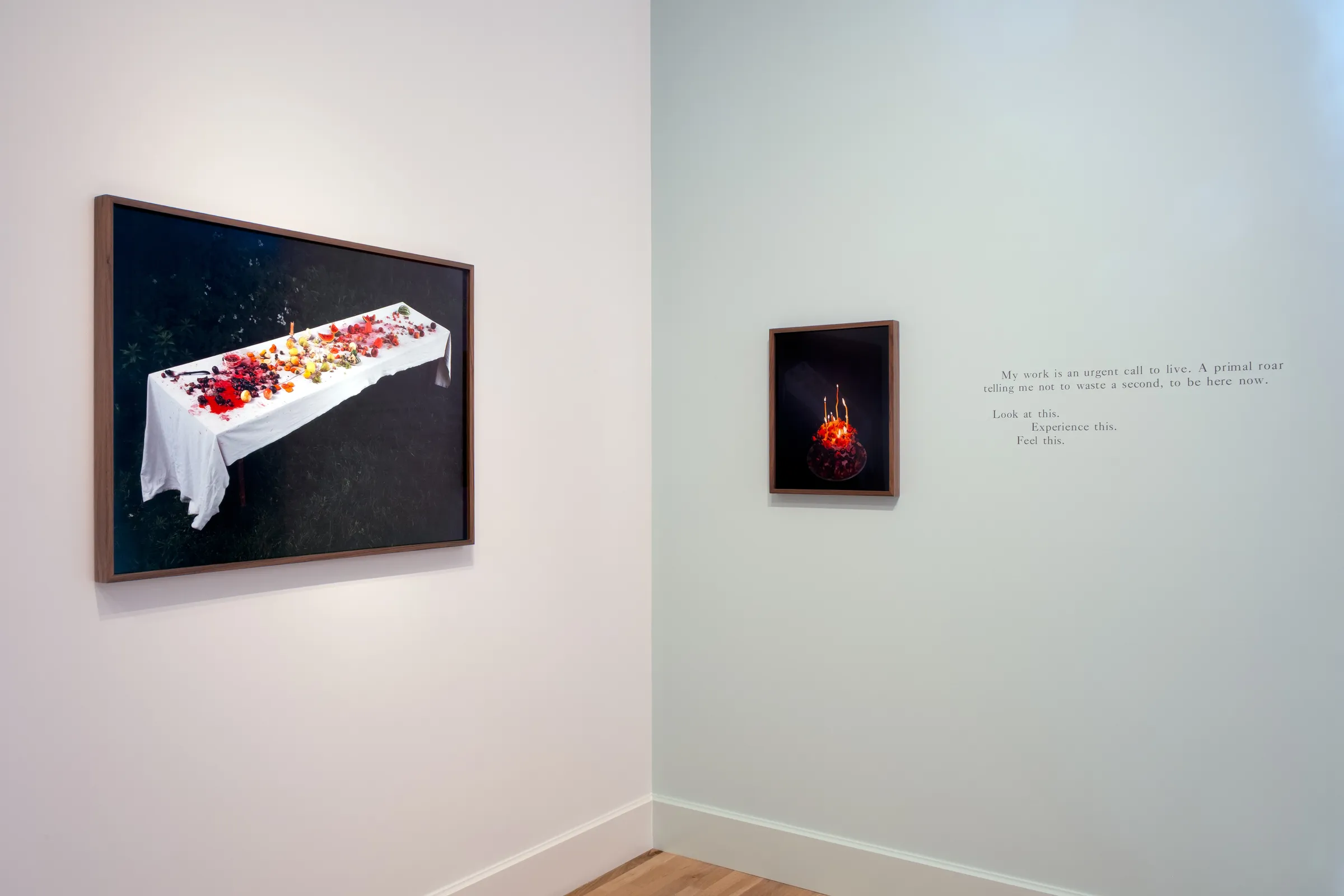 Cig Harvey | Jackson Fine Art