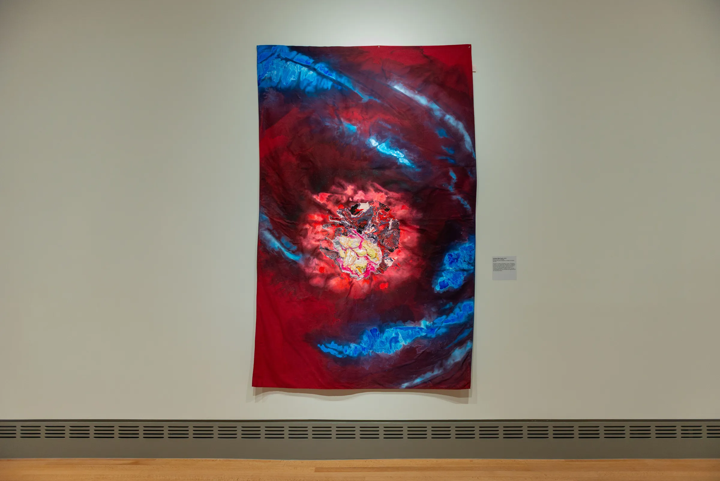 Installation view, 'A Son of the Soil', Columbia Museum of Art, 2026. Courtesy of the Columbia Museum of Art / Victor Johnson