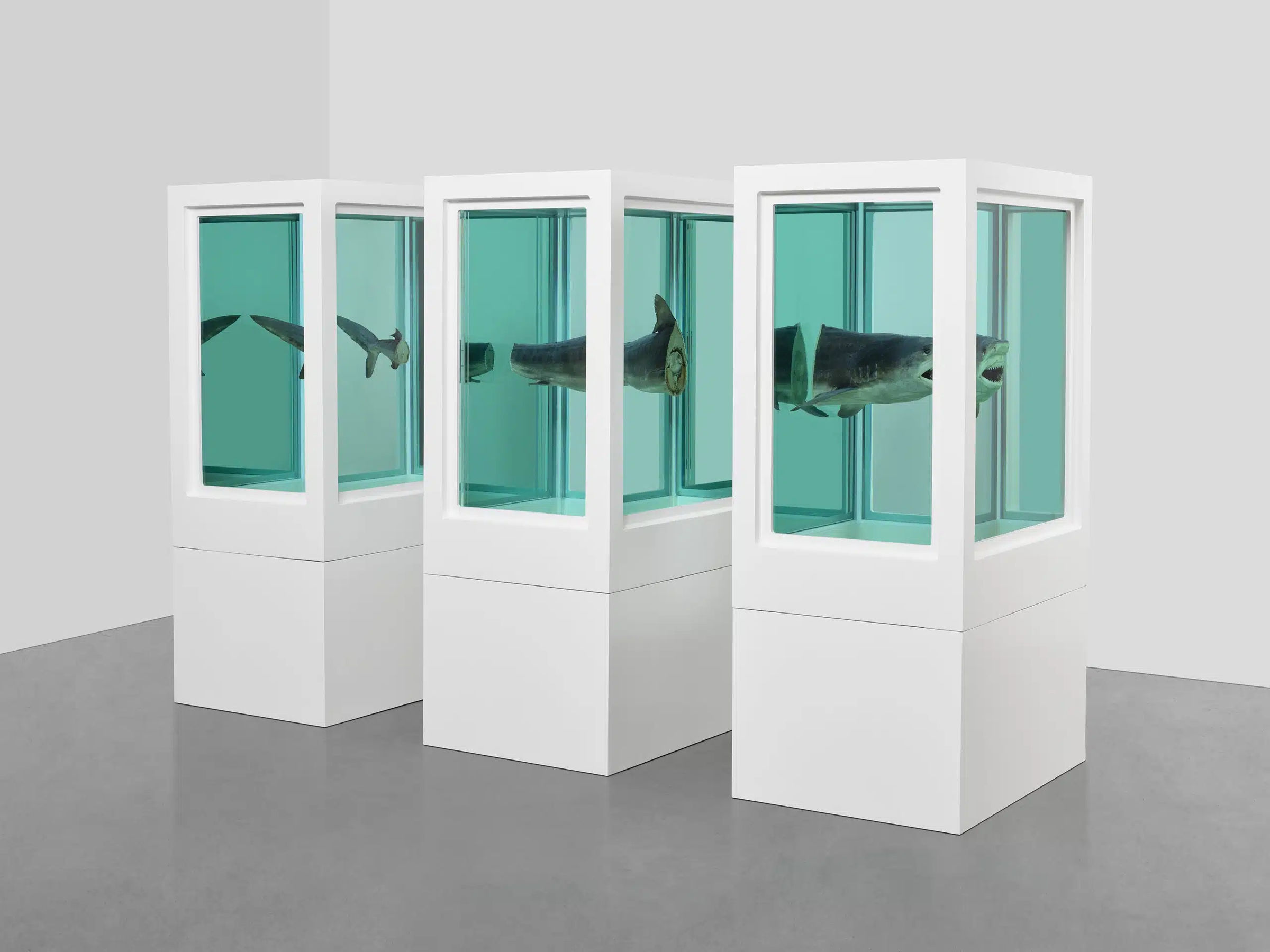 アート・デザイン・音楽 Damien Hirst アート・デザイン・音楽 Damien