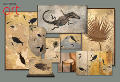 Fossil Triptych