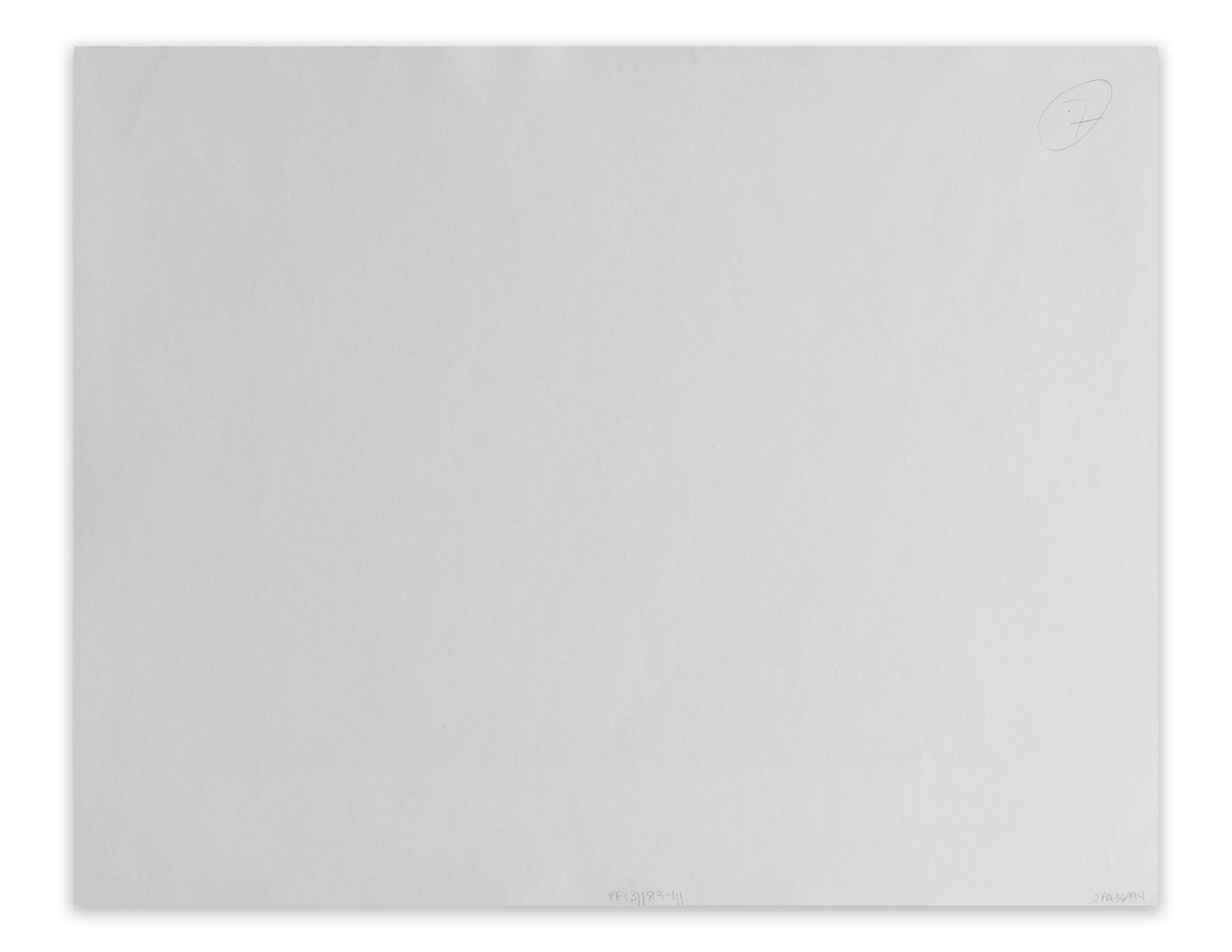 Entering Montgomery - Selma March