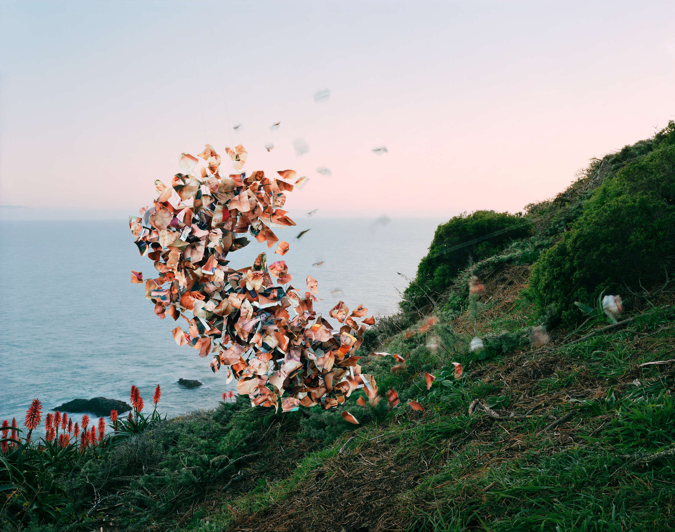 Thomas Jackson, Lusty Wives Vol. #81, Muir Beach, California, 2015