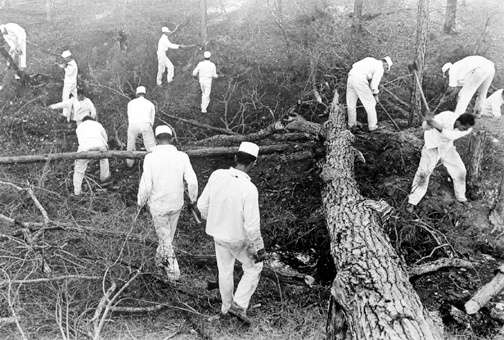 Prison Series (Inmates Working in the Woods)