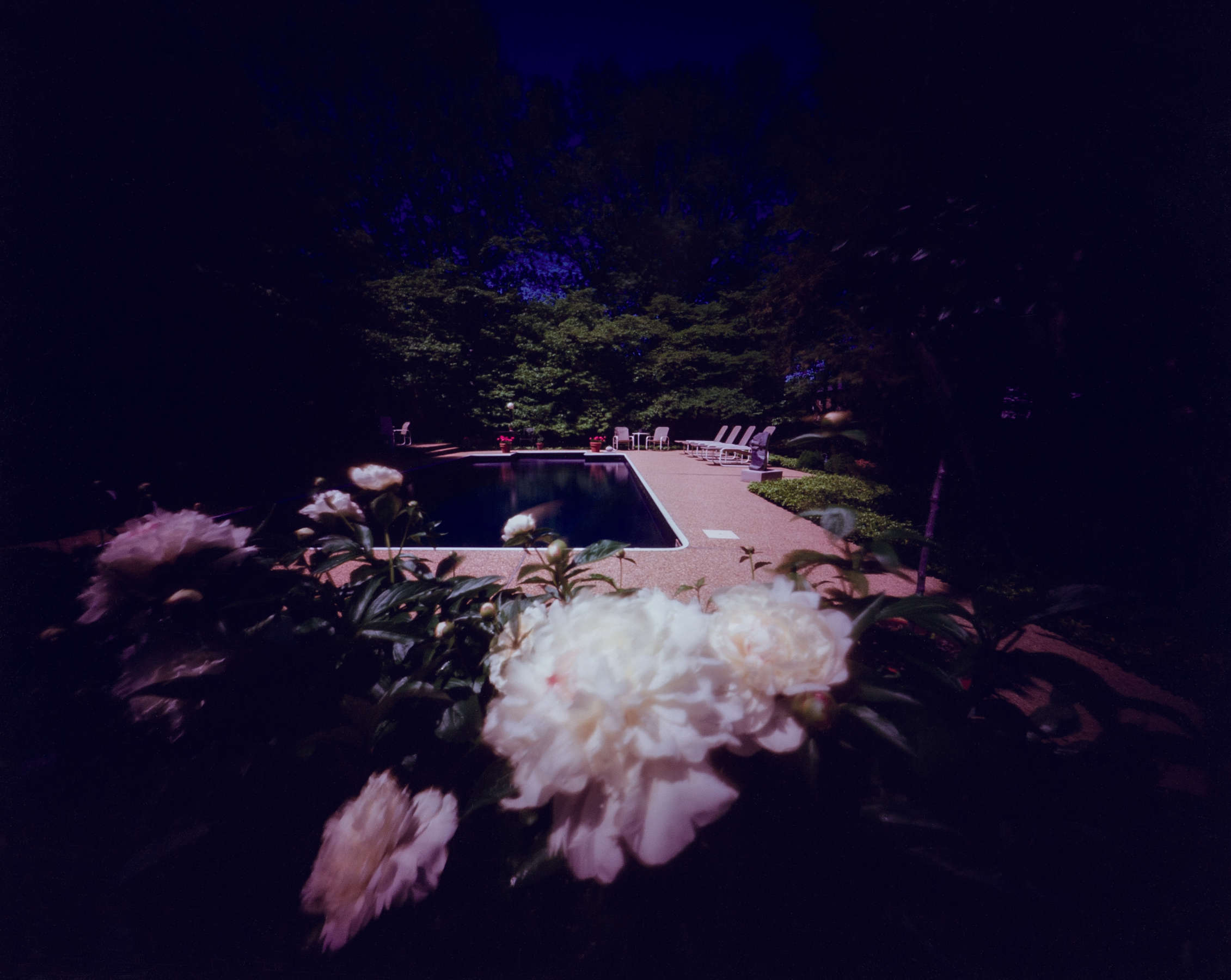 Willie Anne Wright, Richmond, Virginia: Jack B's Pool with Peonies, 1986